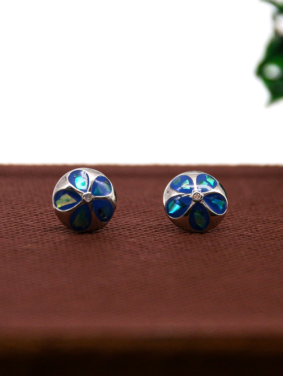 EARRINGS (STYLE 5604)